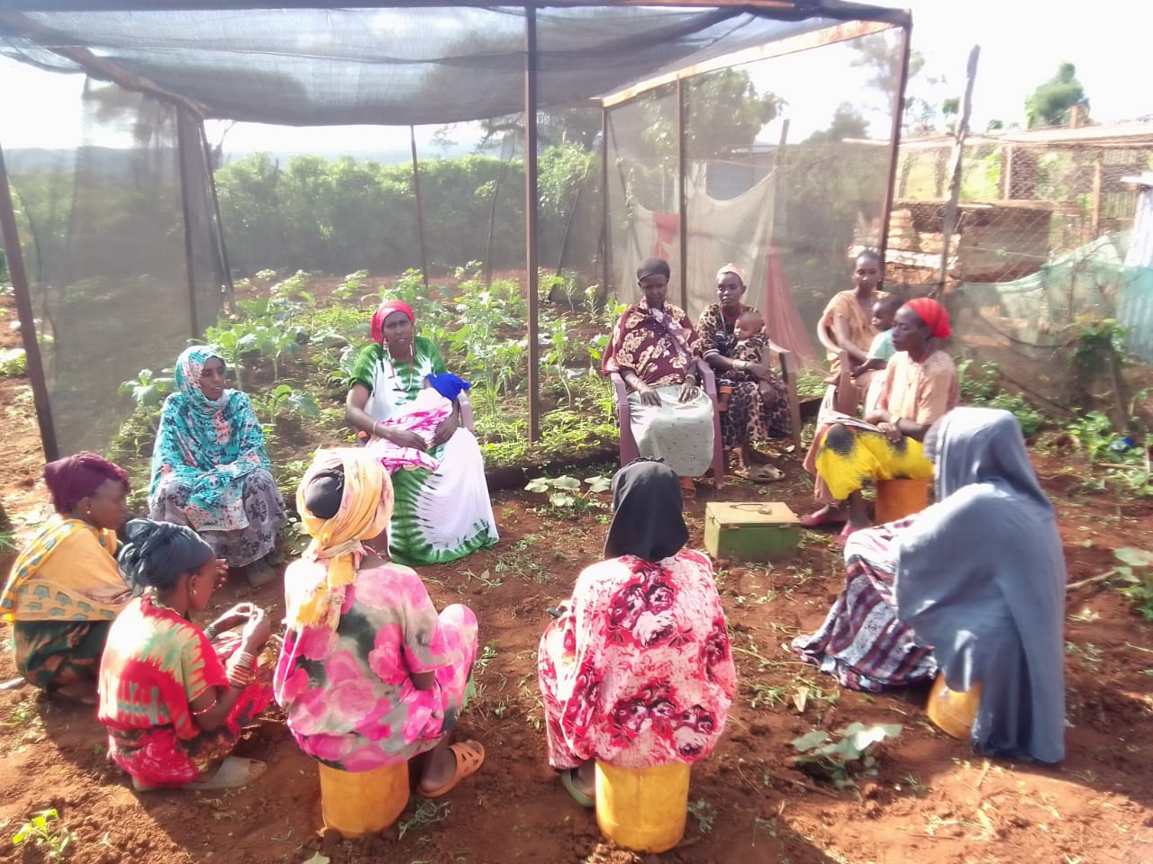 Community Greenhouses Achieve Record Harvest